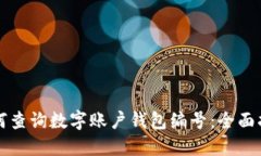 如何查询数字账户钱包编