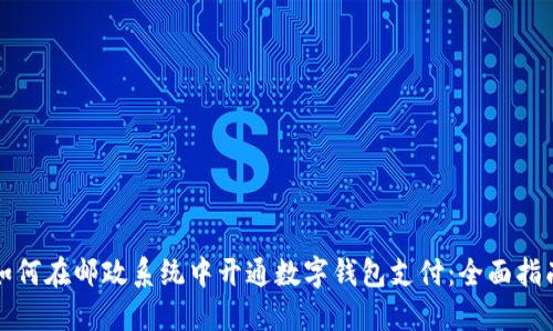 如何在邮政系统中开通数字钱包支付：全面指南