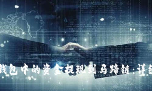 如何将TP钱包中的资金提现到马蹄链：详细步骤指南