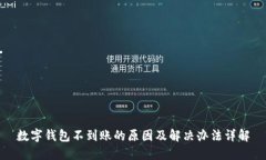 数字钱包不到账的原因及