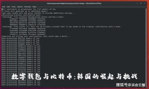 数字钱包与比特币：韩国的崛起与挑战