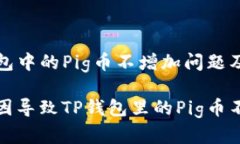 理解TP钱包中的Pig币不增加