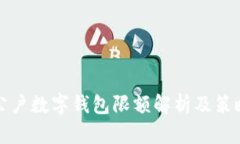 公户数字钱包限额解析及策略