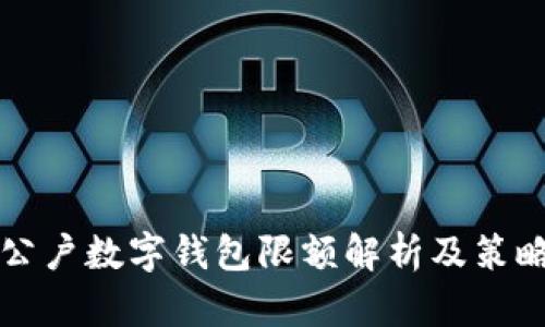 公户数字钱包限额解析及策略