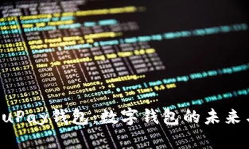 全面解析KuPay钱包：数字钱包的未来与使用指南