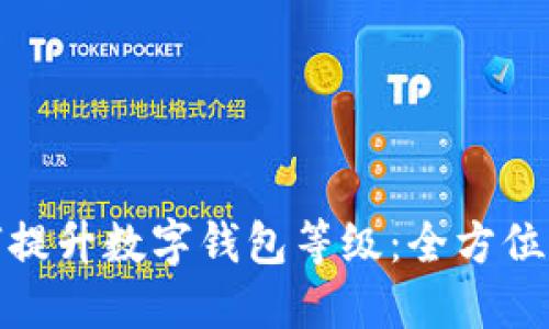 如何提升数字钱包等级：全方位攻略