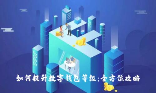 如何提升数字钱包等级：全方位攻略