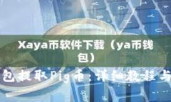 如何使用TP钱包提取Pig币：详细教程与常见问题解