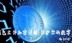 比特币钱包文件加密详解：保护你的数字资产安