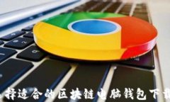 如何选择适合的区块链电脑钱包下载软件？