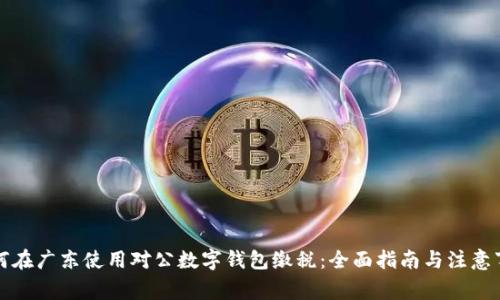 如何在广东使用对公数字钱包缴税：全面指南与注意事项