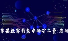 深入了解苹果数字钱包中