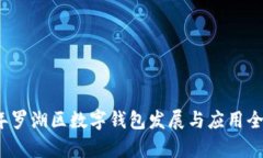 2021年罗湖区数字钱包发展