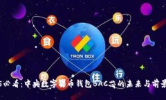 2025必看：中央数字货币钱包BAC芯的未来与前景分