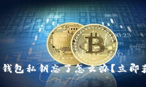 2025必看:TP钱包私钥忘了怎么办?立即获取解决方案!