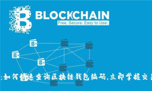 2025必看:如何快速查询区块链钱包编码,立即掌握交易安全秘密
