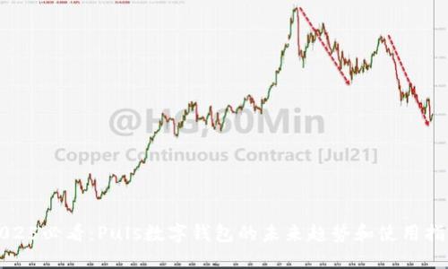 2025必看:Puls数字钱包的未来趋势和使用指南