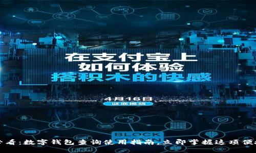 2025必看:数字钱包查询使用指南,立即掌握这项便捷技术!