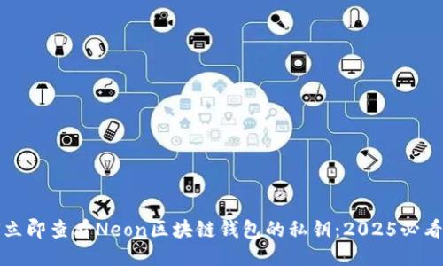 如何立即查看Neon区块链钱包的私钥:2025必看指南