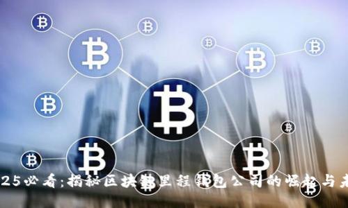 2025必看:揭秘区块链里程钱包公司的崛起与未来