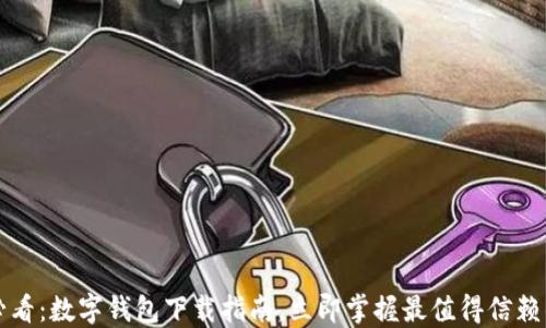 2025必看:数字钱包下载指南,立即掌握最值得信赖的选择!