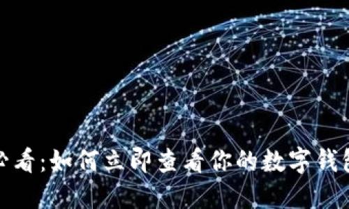 2025必看：如何立即查看你的数字钱包资产？