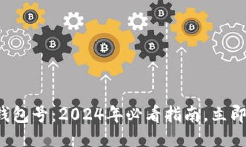 数字人民币一二类钱包号:2024年必看指南,立即掌握你的数字资产!