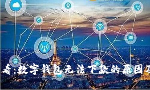 2025年必看:数字钱包无法下款的原因及解决方案