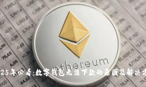2025年必看:数字钱包无法下款的原因及解决方案