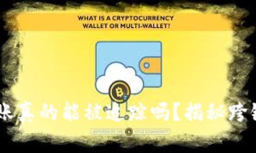 ## TP钱包跨链转账真的能被追踪吗?揭秘跨链转账的隐私与安全