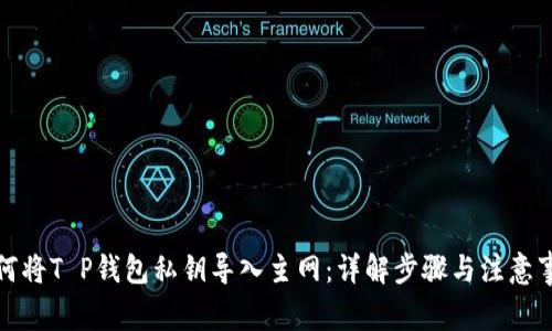 如何将T P钱包私钥导入主网：详解步骤与注意事项