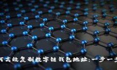 : 如何高效复制数字链钱包地址：一步一步指南