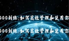 数字钱包1000到账：如何高效管理和使用你的数字