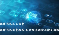 数字钱包怎么消费数字钱