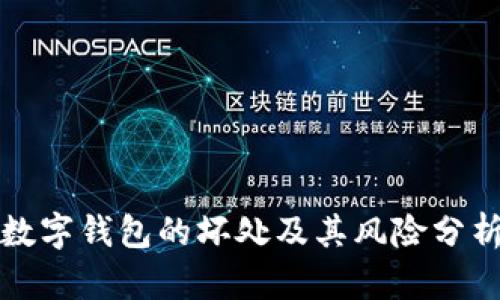 数字钱包的坏处及其风险分析
