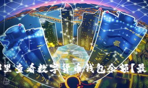 : 在哪里查看数字货币钱包余额？最全指南