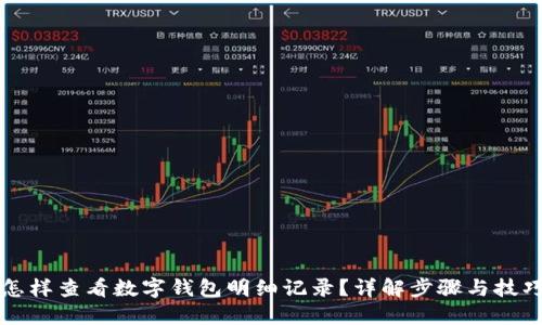 怎样查看数字钱包明细记录？详解步骤与技巧