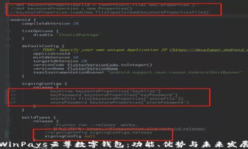
探索WinPays云尊数字钱包：功能、优势与未来发展趋势